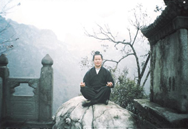 Wudang Meister Tang Li Long